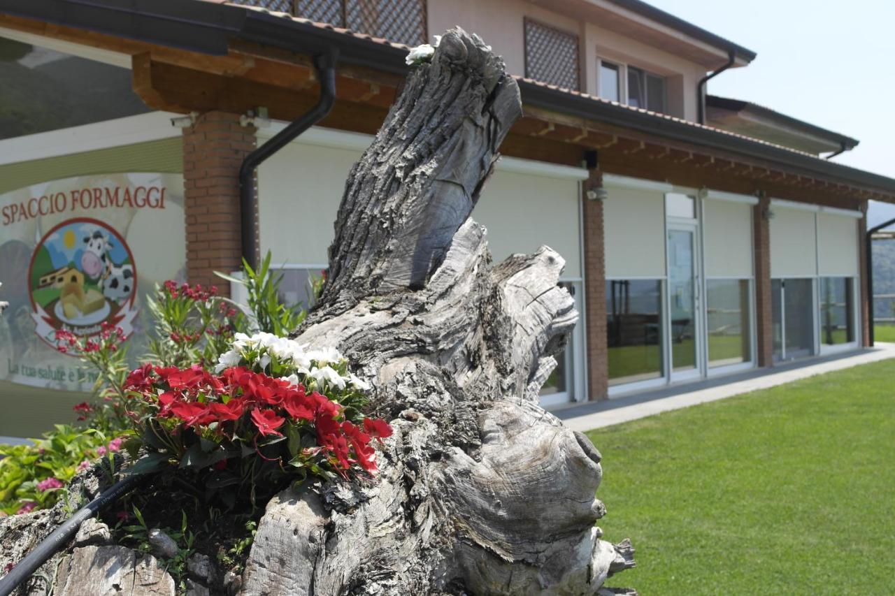 Agriturismo Fattoria Monte Baldo Vista Lago Caprino Veronese Exterior photo
