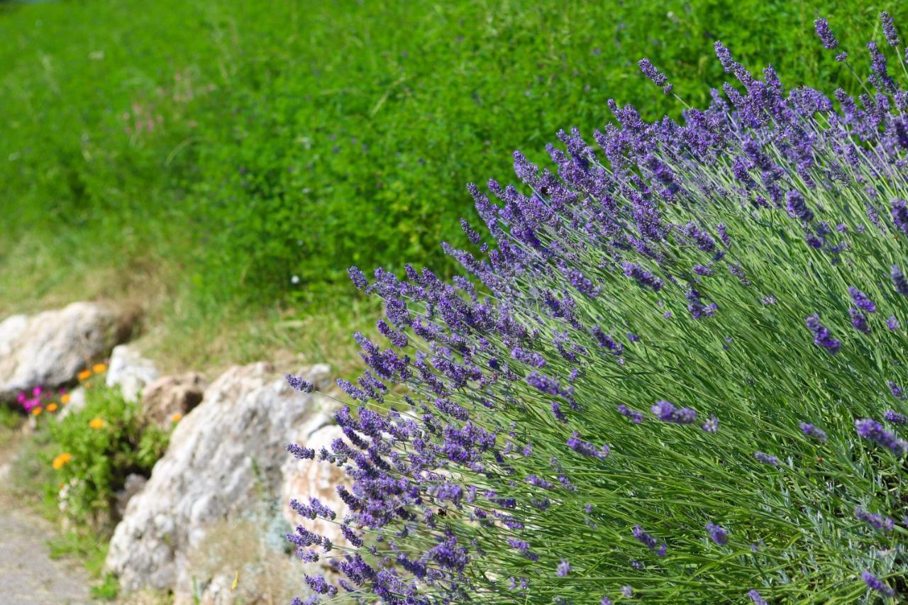 Agriturismo Fattoria Monte Baldo Vista Lago Villa Caprino Veronese Exterior photo